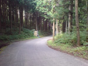 20080817135455.jpg